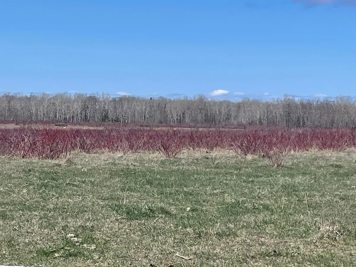 250 Scotch Line RD, Assiginack, ON P0P 1W0