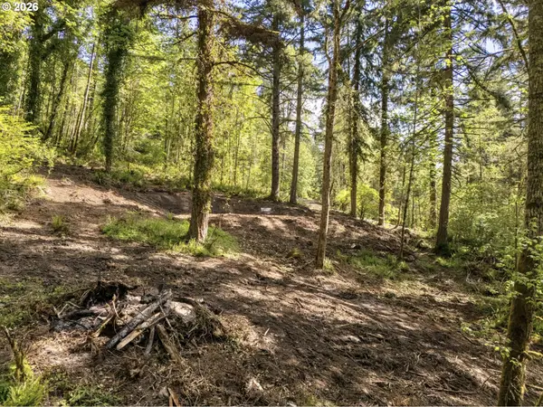 147 Old Spreadborough RD, Kalama, WA 98625