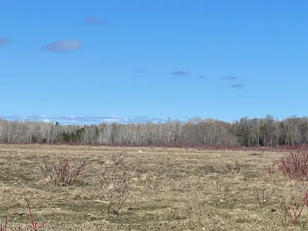 250 Scotch Line RD, Assiginack, ON P0P 1W0