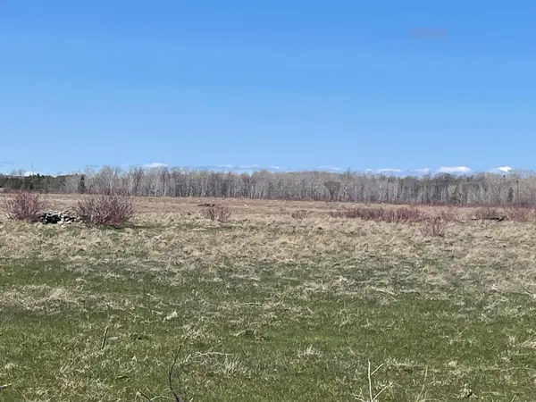 250 Scotch Line RD, Assiginack, ON P0P 1W0