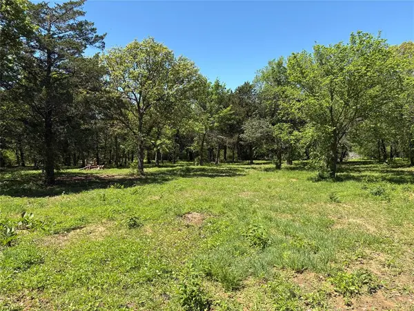 TBD 1-B County Road 167 Road, Whitesboro, TX 76273