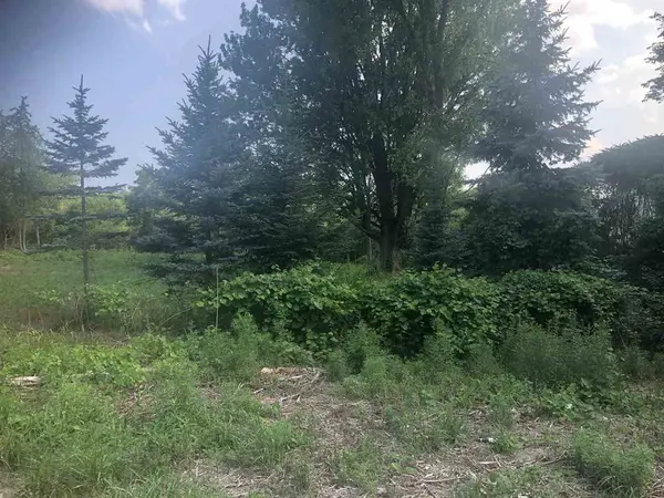 0 31 Mile Rd. Parcel 3, Ray Twp, MI 48096