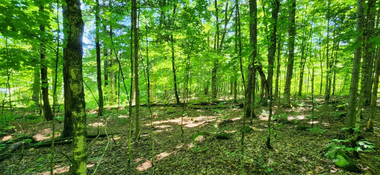 0 Skyline DR, Armour, ON P0A 1C0