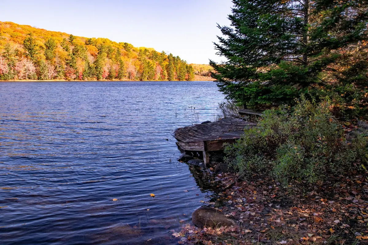 3517 Haliburton Lake RD, Dysart Et Al, ON K0M 1S0