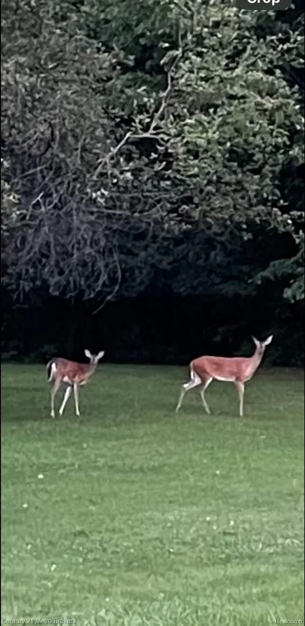 5464 N Seymour RD, Flushing Charter Township, MI 48433