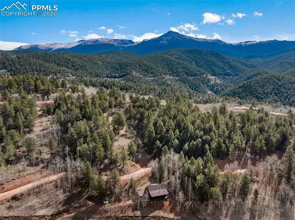 60 Beaver Pond RD, Divide, CO 80814