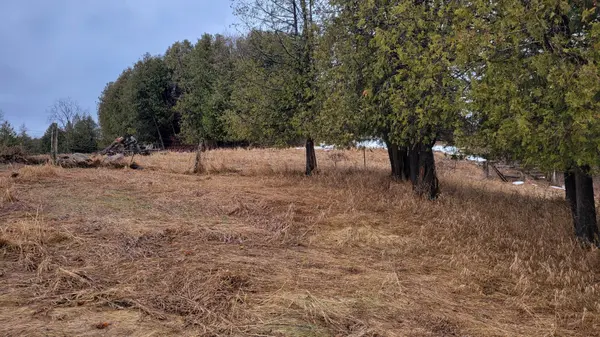 N/A East Hungerford RD, Tweed, ON K0K 3J0