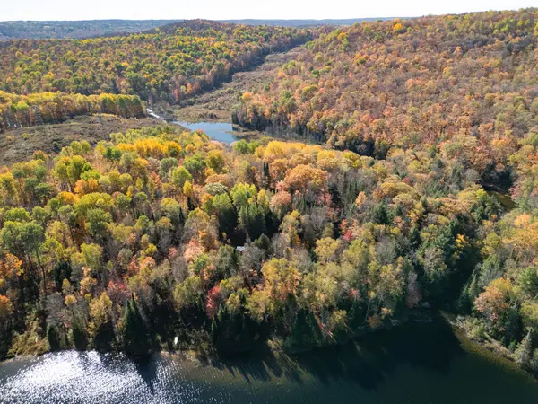 3517 Haliburton Lake RD, Dysart Et Al, ON K0M 1S0