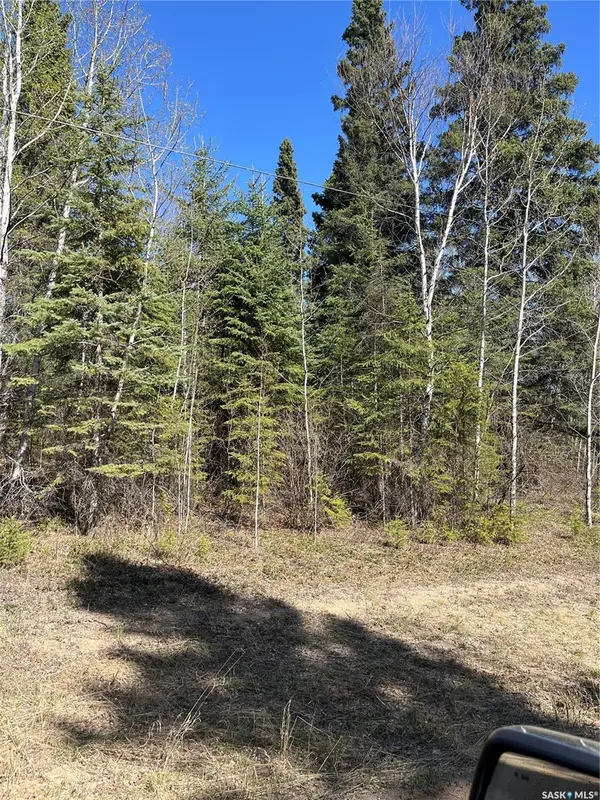 6 Buckingham TRAIL, Big River Rm No. 555, SK S0J 0E0