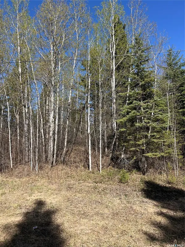 6 Buckingham TRAIL, Big River Rm No. 555, SK S0J 0E0