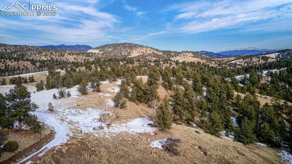 13 Buckhorn TRL, Guffey, CO 80820