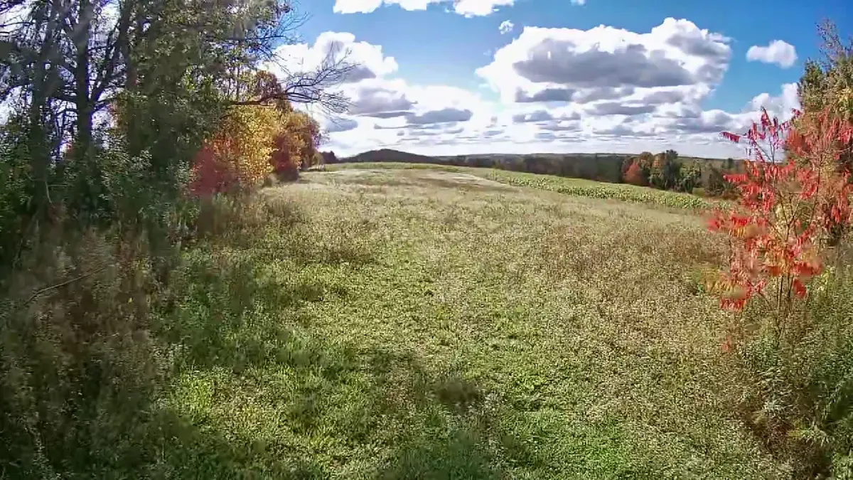 PL 15 Base Line, Otonabee-south Monaghan, ON K0L 2G0