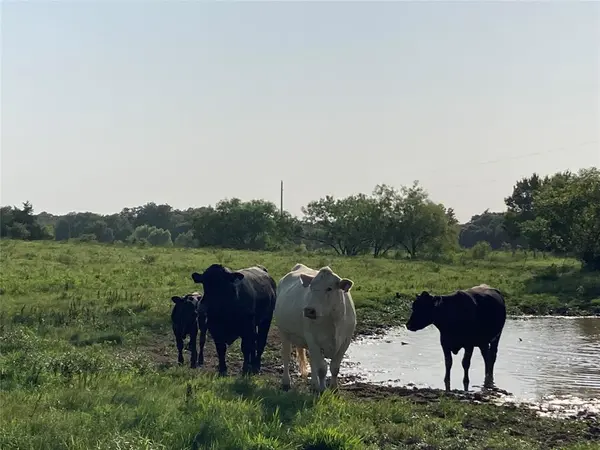 0 TBD Hcr 1414, Covington, TX 76636