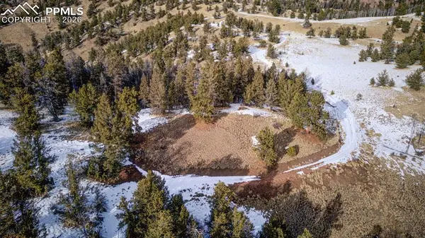 13 Buckhorn TRL, Guffey, CO 80820