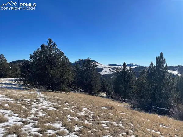 13 Buckhorn TRL, Guffey, CO 80820