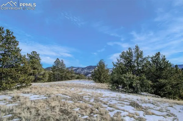 13 Buckhorn TRL, Guffey, CO 80820
