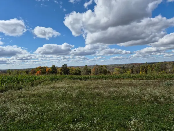 PL 15 Base Line, Otonabee-south Monaghan, ON K0L 2G0