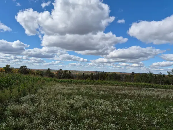 PL 15 Base Line, Otonabee-south Monaghan, ON K0L 2G0