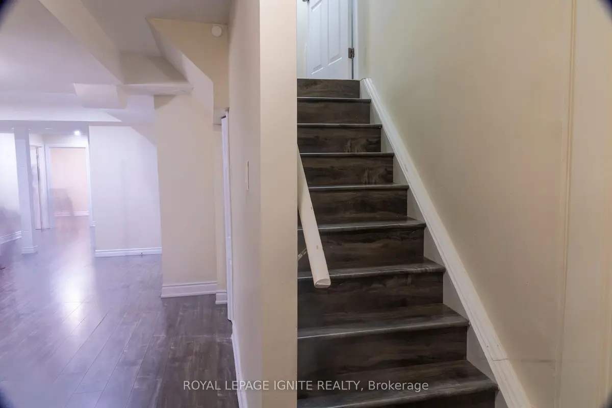 162 Cadillac CRES #Lower, Brampton, ON L7A 3B7