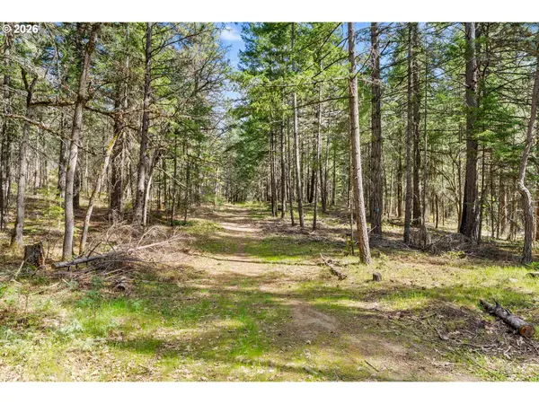 Paradise Ridge RD, Mosier, OR 97040