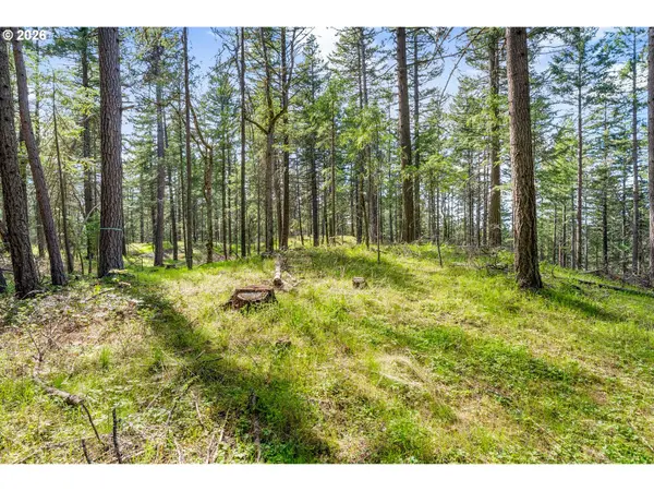 Paradise Ridge RD, Mosier, OR 97040