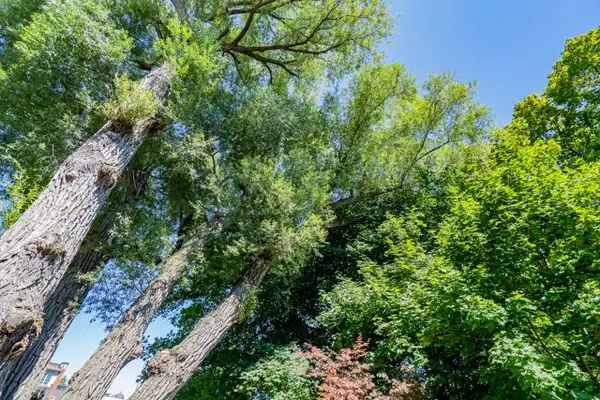 83 Kerr ST, Oakville, ON L6K 3A2