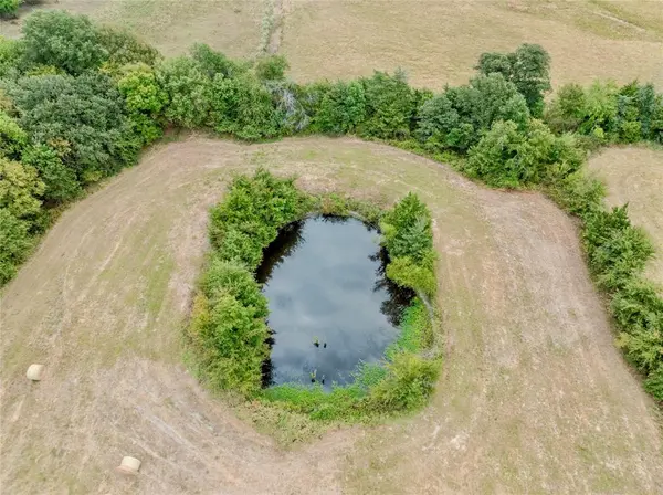 TBD FM 1502 Highway, Blossom, TX 75416