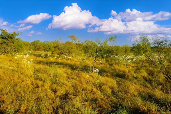 130 Mountain Drive, Graford, TX 76449