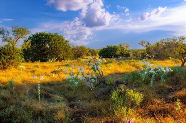 130 Mountain Drive, Graford, TX 76449