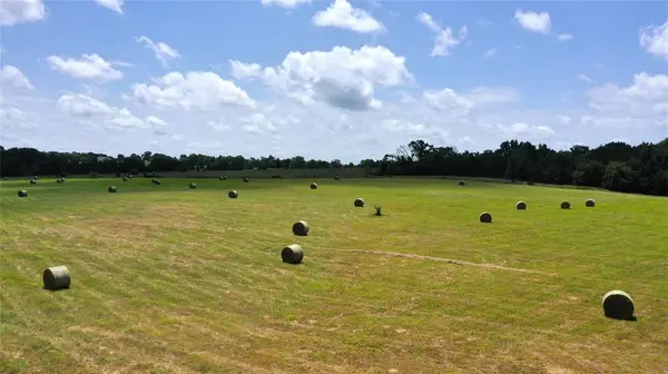 13530 FM 773, Ben Wheeler, TX 75754