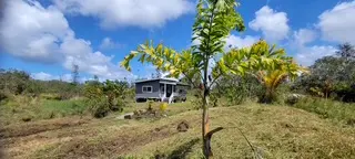 16-1307 KOLOA MAOLI RD, Kurtistown, HI 96760