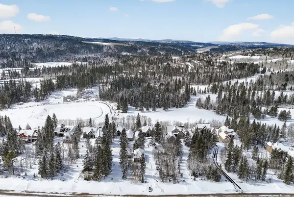 17 Hawks Landing DR, Priddis Greens, AB T0L1W0