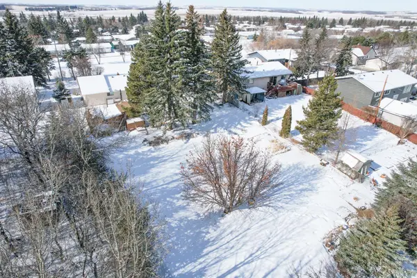 5223 Newson BLVD, Bashaw, AB T0B 0H0