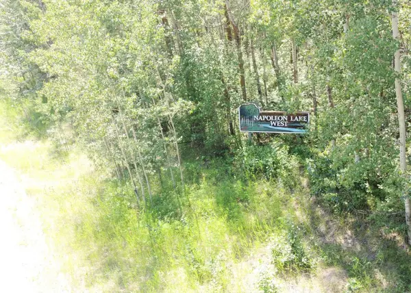 5650 Lakeside WAY, Innisfail, AB T4G 0H4