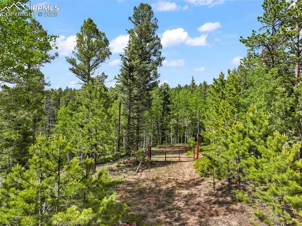 65 Spruce Creek RD,  Divide,  CO 80814