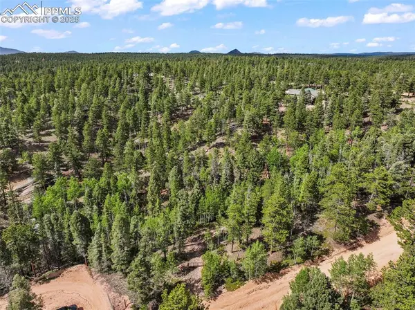 65 Spruce Creek RD, Divide, CO 80814