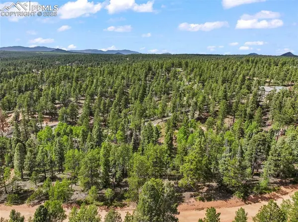 65 Spruce Creek RD, Divide, CO 80814