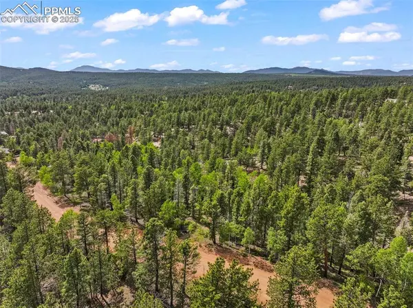 65 Spruce Creek RD, Divide, CO 80814