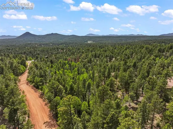 65 Spruce Creek RD, Divide, CO 80814