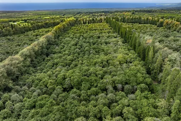 96-2264 PAULELE ST, Pahala, HI 96777