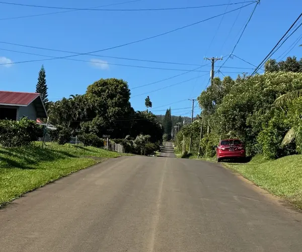 53-460 HALAULA MAULILI RD, Kapaau, HI 96755
