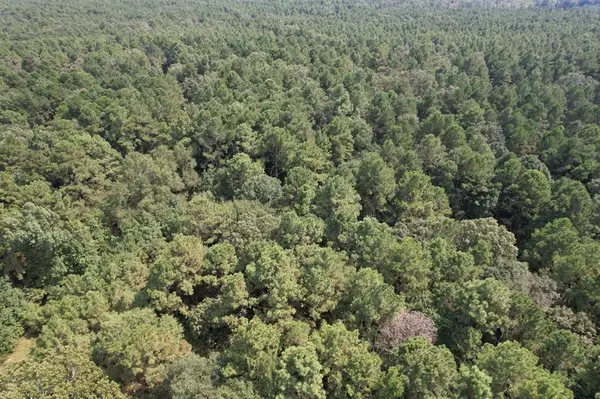 TBD County Road 283, Garrison, TX 75946