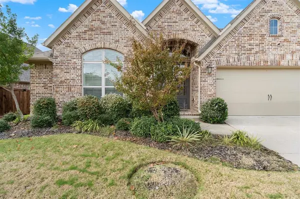 4017 Palomino Road, Aubrey, TX 76227