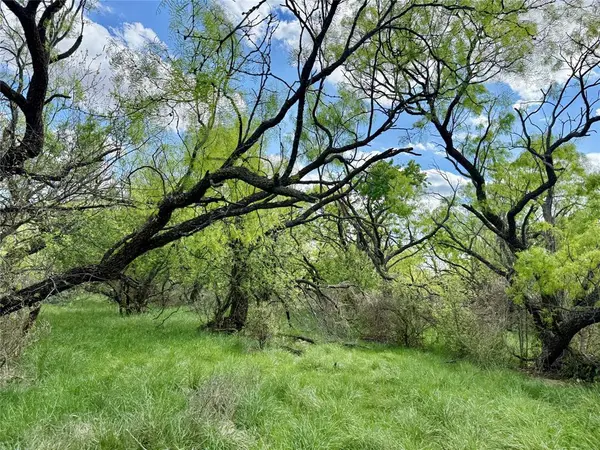 258 County Road 206, Ovalo, TX 79541