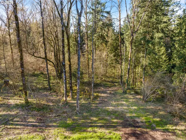 NE Sumac CT, Brush Prairie, WA 98606