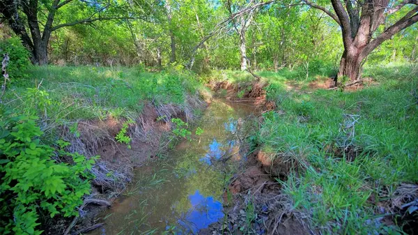 0 Applegate, Bowie, TX 76230