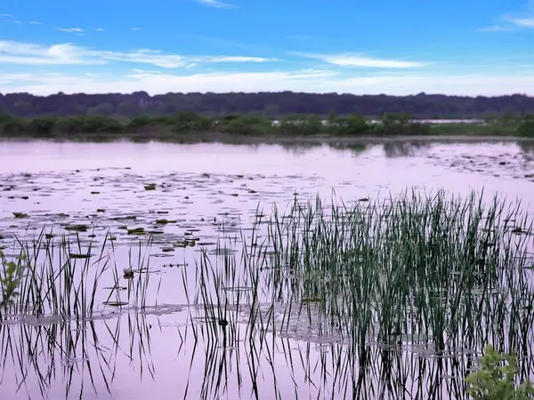 TBD Meridian Lane, Gordonville, TX 76245