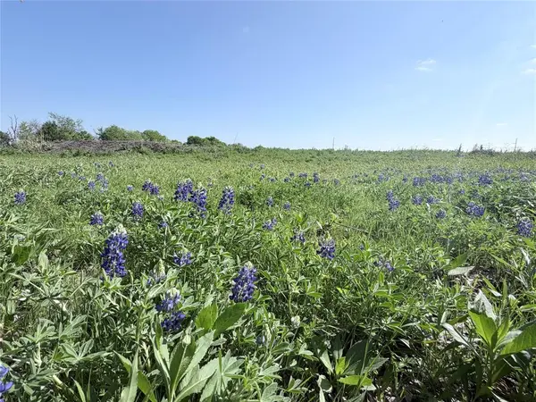 TBD County Road 3204, Abbott, TX 76621