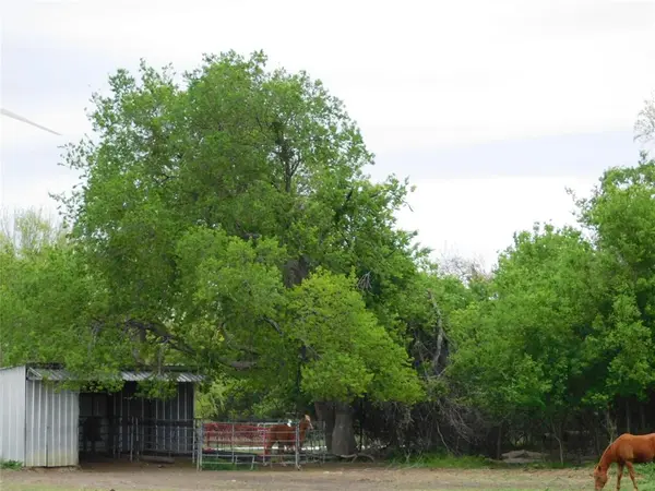 1032 Fm 936, Hubbard, TX 76648