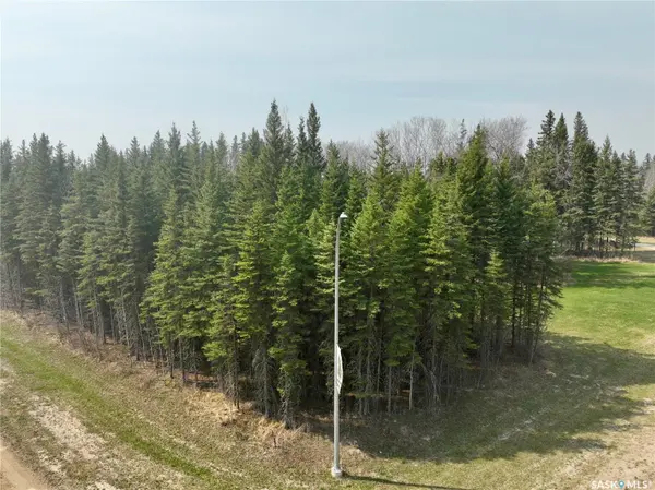 49 Cranberry COURT, Candle Lake, SK S0J 3E0